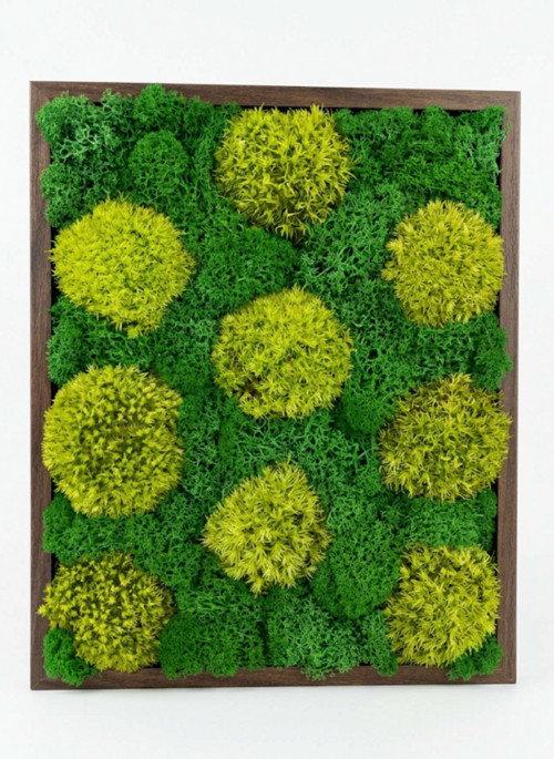 Mechový Obraz 33x33cm
