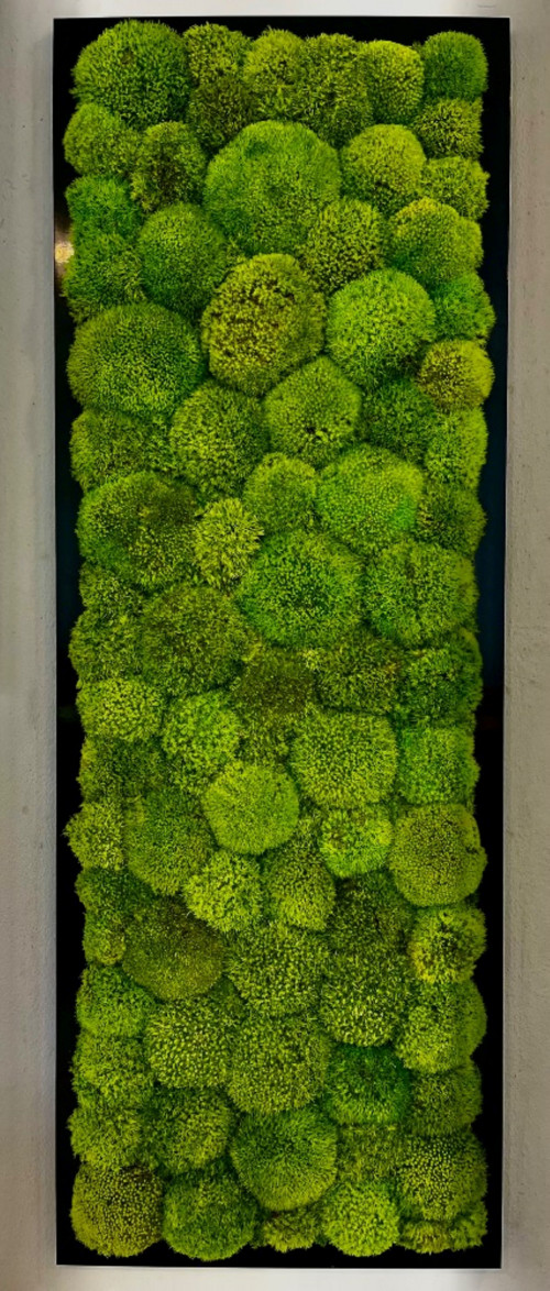 Mechový Obraz 95x35cm