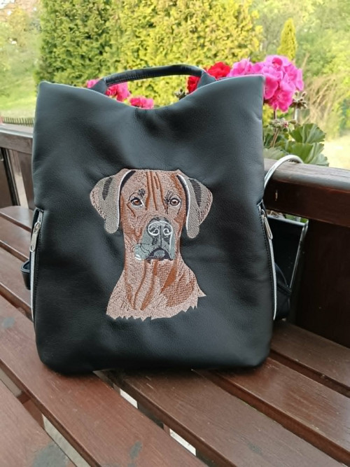 Batoh Safe - Ridgeback