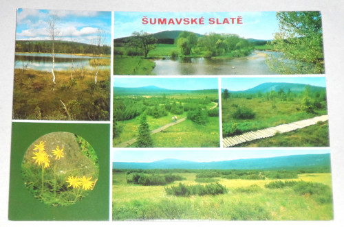 POHLEDNICE • Šumavské slatě