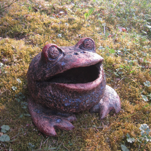 Žába