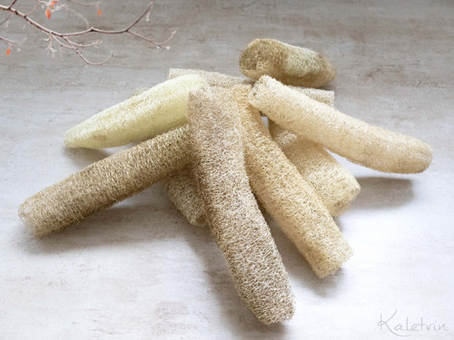 Přírodní lufa z české zahrádky - 25 cm