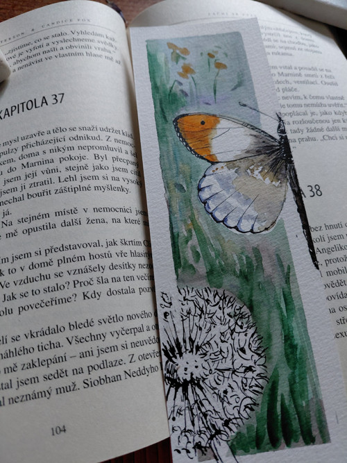 Bělásek řeřichový - záložka