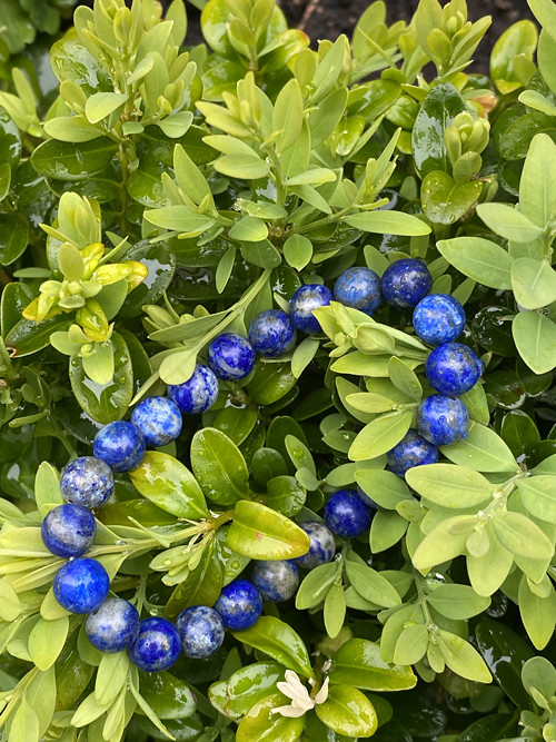 Lapis lazuli