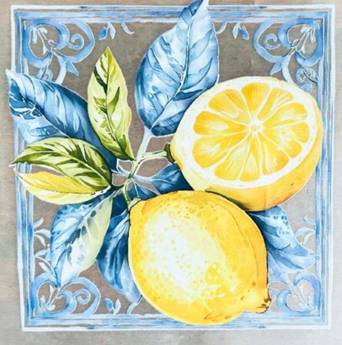 Nažehlovací aplikace citrony 22,5x22 cm
