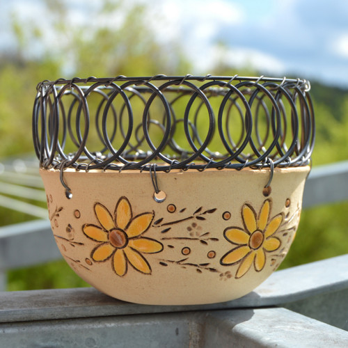 Svícen - Slunečnicový. — foto 1