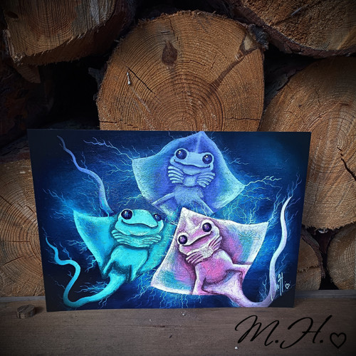 Rejnočí miminka