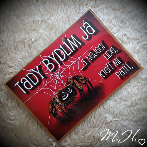 Tady bydlím já... a nějací lidé (pavouk)