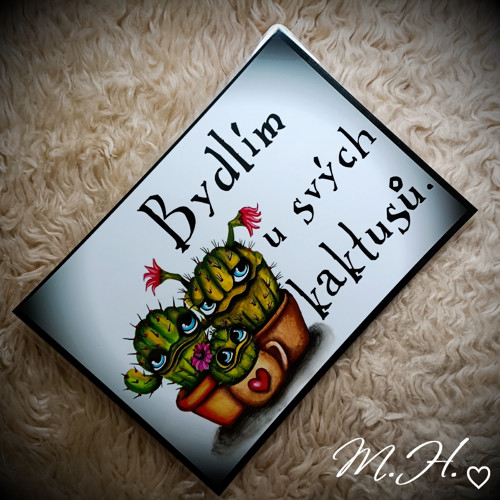 Bydlím u svých kaktusů — foto 1