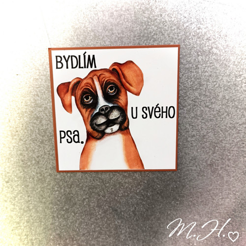 Bydlím u svého psa (boxer) — foto 1