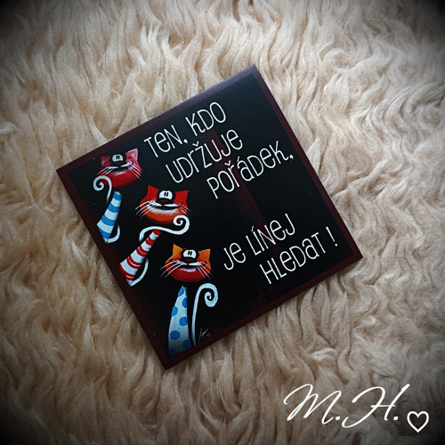 Ten, kdo udržuje pořádek, je línej hledat