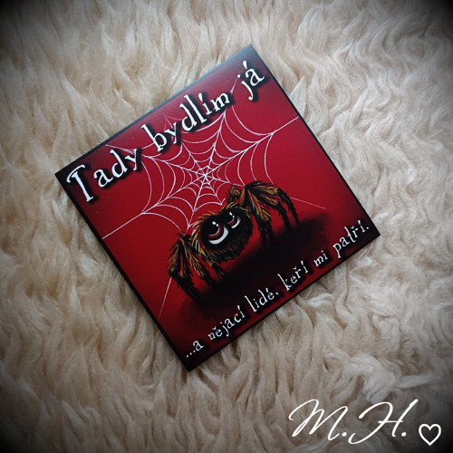Tady bydlím já... a nějací lidé (pavouk) — foto 1