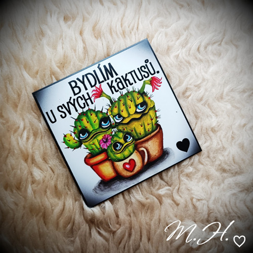 Bydlím u svých kaktusů