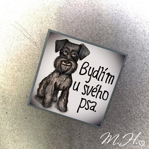 Bydlím u svého psa (fousek)