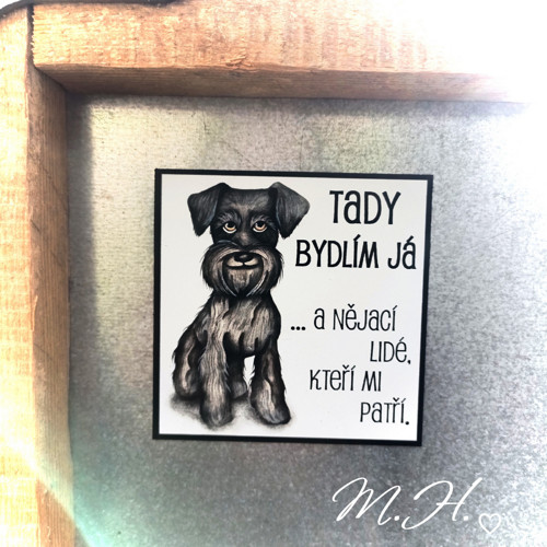 Tady bydlím já... a nějací lidé (fousek)