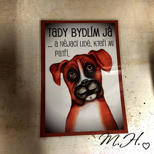 Tady bydlím já a nějací lidé... (boxer)
