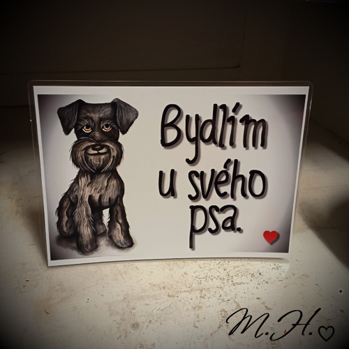 Bydlím u svého psa (fousek)