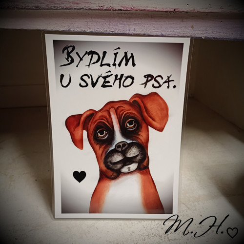Bydlím u svého psa (boxer)