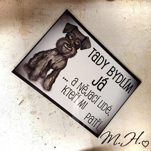Tady bydlím já, a nějací lidé... (fousek)