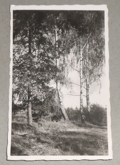 ČB POHLEDNICE, krajina, příroda
