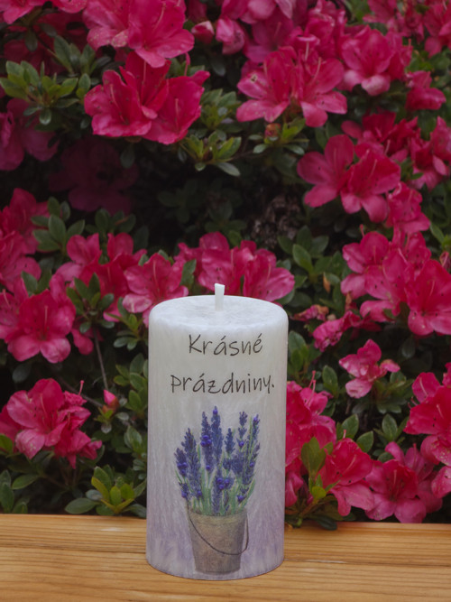 Krásné prázdniny- levandule