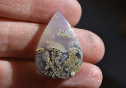 Chalcedon s vrostlicemi