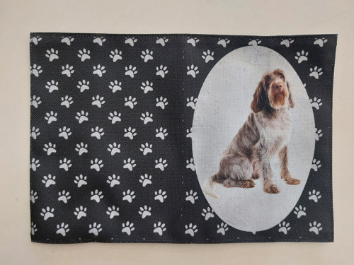 Obal na očkovací průkaz - Italský Spinone
