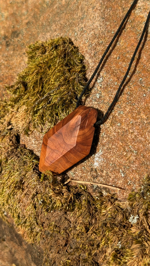Jabloňový talisman - Světla a stínu