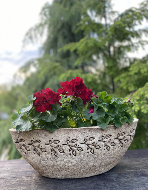 Velký truhlík — foto 1