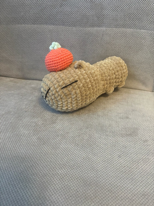 Kapybara