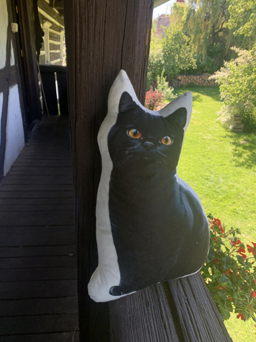 Polštář 3D - Kočka černá