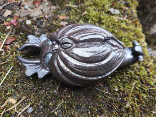 Netopýrodrak