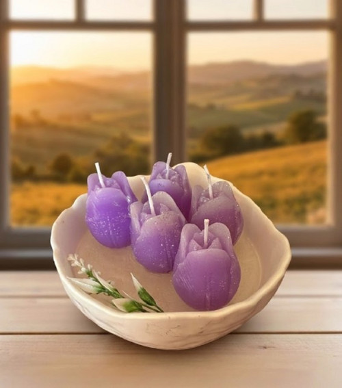 Svíčky Tulipány fialové – dárková miska