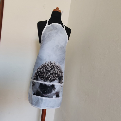Ježčí