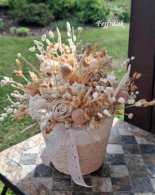 Košíček ,,meruňka se smetanou,, — foto 1