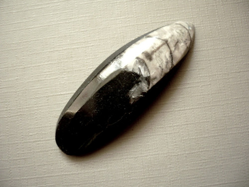 Orthoceras 53 mm, č.57f