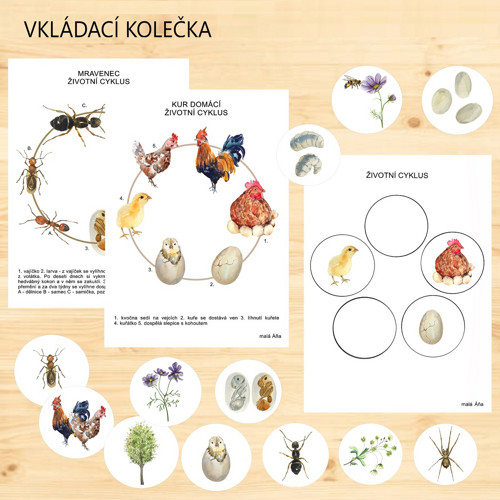 Vkládací kolečka ŽIVOTNÍ CYKLY 2