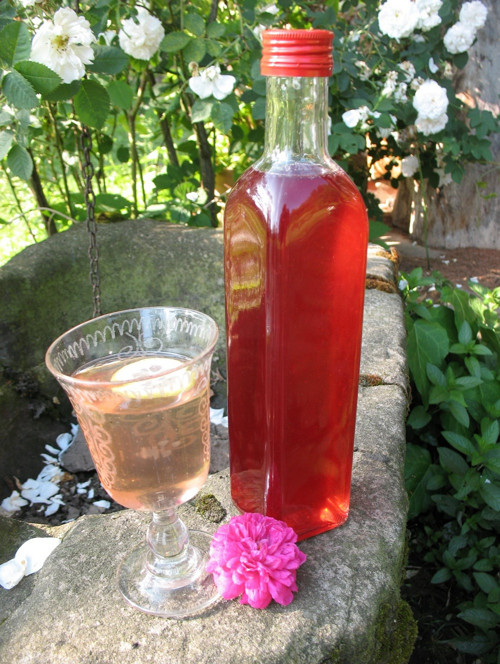 Růžový sirup — foto 1