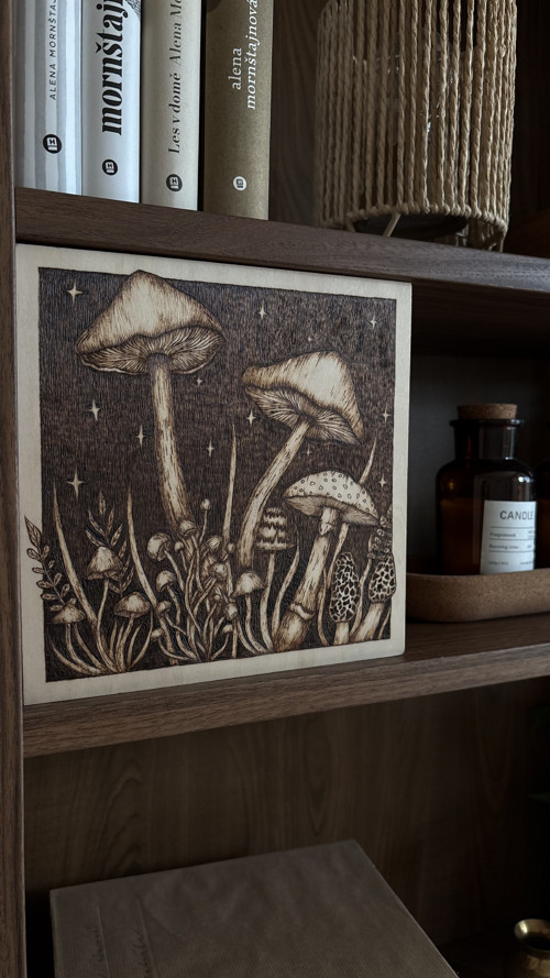 Magické houby - vypalovaný obraz do dřeva 20x20 cm