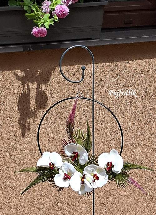 Orchideje v kruhu.. — foto 1