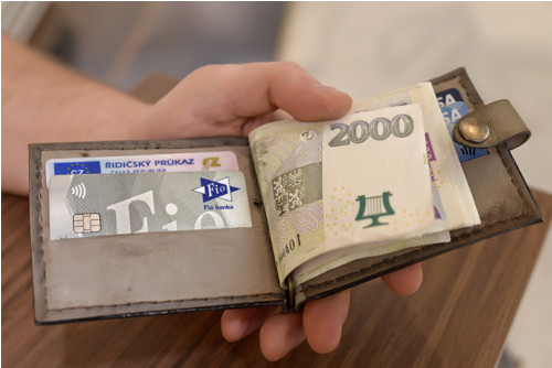 Dolarovka "Zaporoži". Kůže "Krast". Šedá