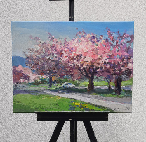 Olejobraz "Rozkvetlá sakura v Klášterci" 30x40 cm