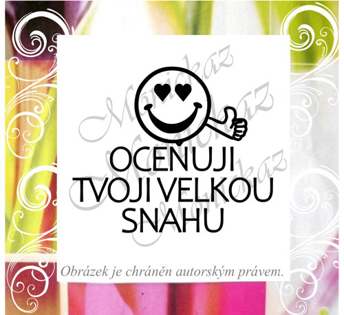Oceňuji tvoji velkou snahu 2591. Razítko.