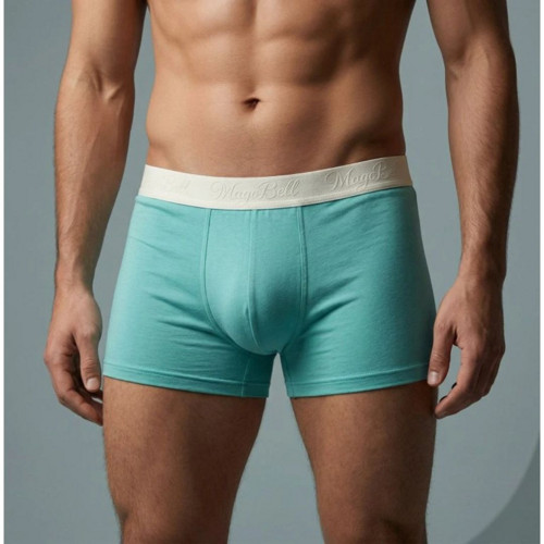 Boxerky PAUL mint (Vel. M)