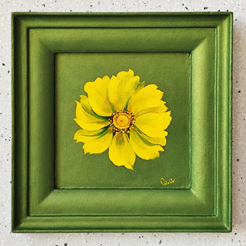 Sběratelská miniatura Krásnoočko kopinaté 13x13