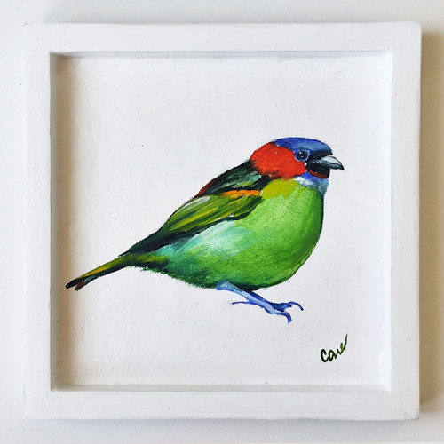 Sběratelská miniatura Tangara rudokrká 13x13