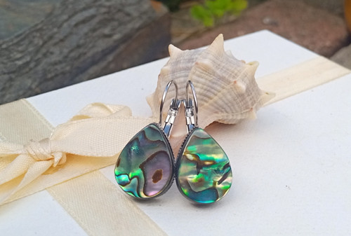 Náušnice z abalone paua perletě chirurgická ocel