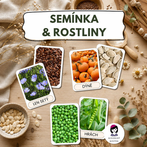 Semínka a rostliny | Montessori | Reggio Emilia