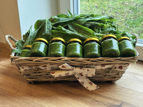 Pesto z medvědího česneku