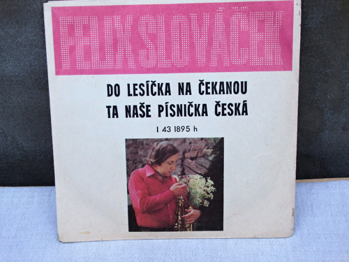 Do lesíčka na čekanou